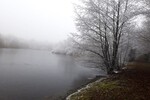 Commelle, le vallon du ruisseau du moulin